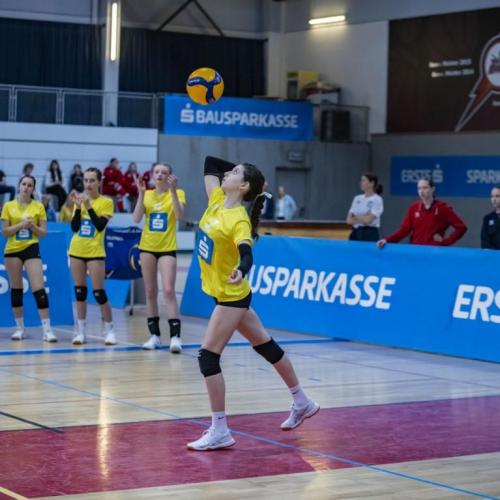 Volley2
