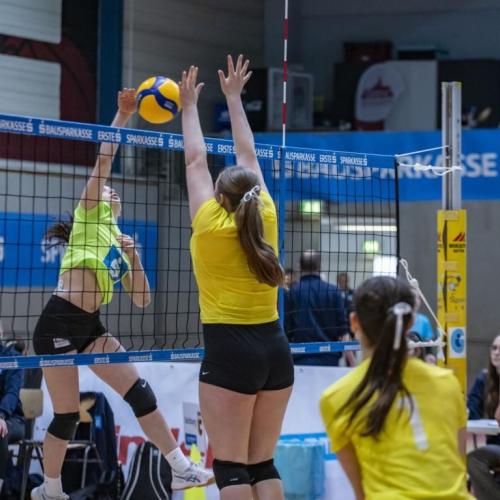 Volley4