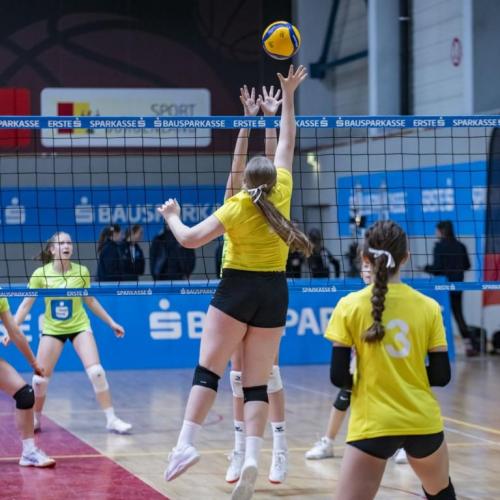 Volley6